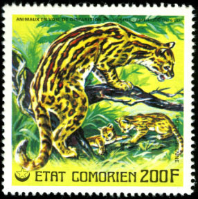 Stamp